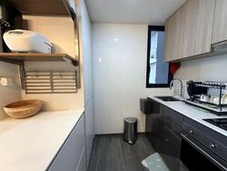 Botanique At Bartley (D19), Condominium #518795491